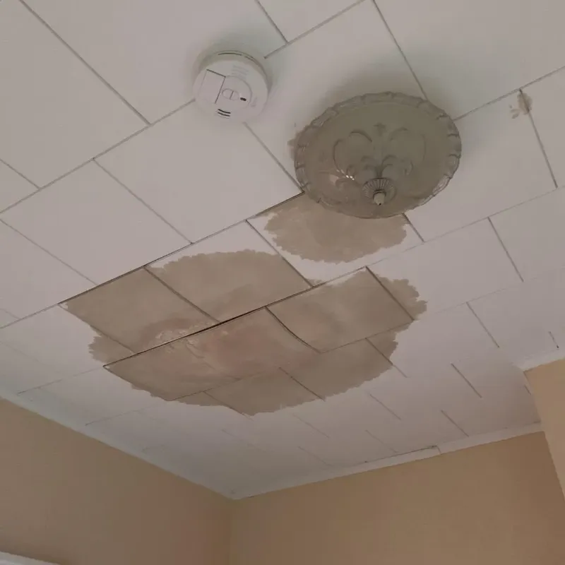 Ceiling Water Damage Repair in Goldthwaite, TX