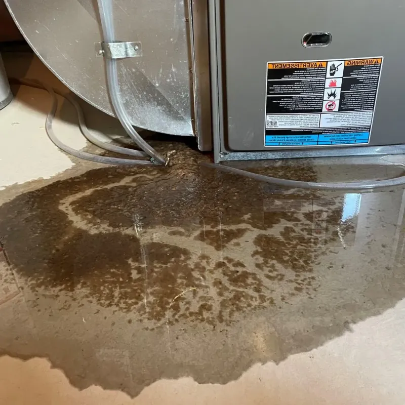 Pipe Burst and Leak Restoration in Goldthwaite, TX