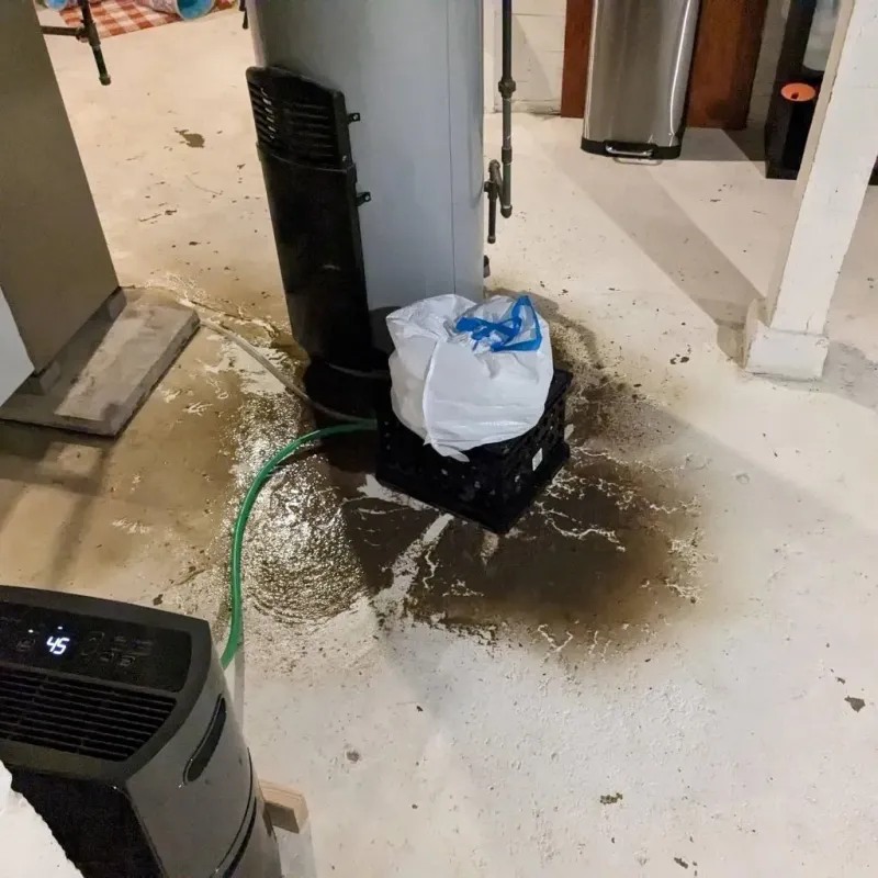 Sewage Backup Cleanup Service in Goldthwaite, TX